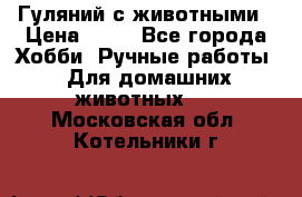 Гуляний с животными › Цена ­ 70 - Все города Хобби. Ручные работы » Для домашних животных   . Московская обл.,Котельники г.